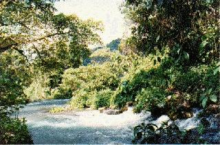 Rio Mayo