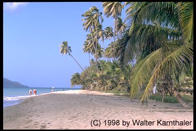 Nevis