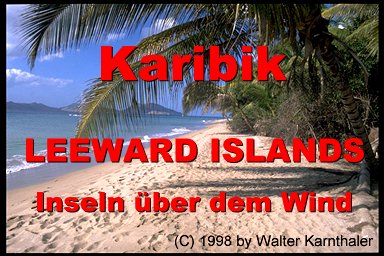Tagebuchbericht Segelt�rn Leeward Islands