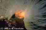 img0073.jpg