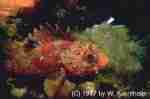 img0079.jpg