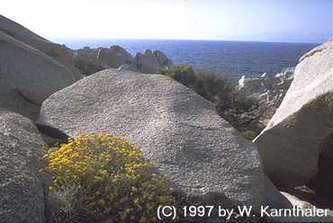 Capo Testa
