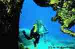 Wreck of Pomonte 3