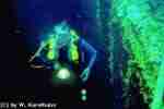 Wreck of Pomonte 5