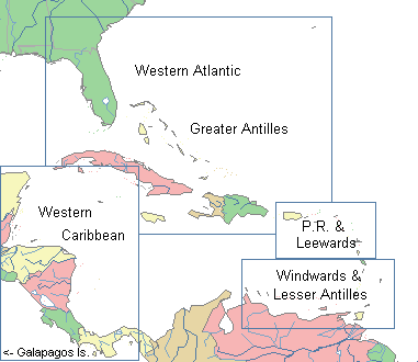 map of caribbean & western atlantic