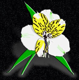 ClipArt by Corel Corp.