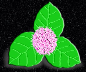 ClipArt by Corel Corp.