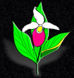 ClipArt by Masterclips Inc.
