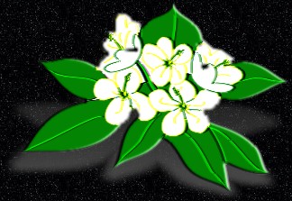 ClipArt by Masterclips Inc.