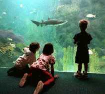 Florida Aquarium