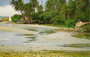 Jericoacoara Beach (East seaside)