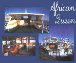 African Queen's, sinai, red sea, pic