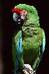 B002.JPG