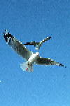 B016.JPG