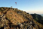 L009.JPG
