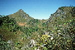 L012.JPG