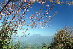 L016.JPG