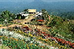 L017.JPG
