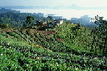 L018.JPG