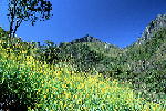 L020.JPG