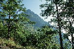 L022.JPG