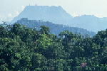 L023.JPG