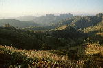 L024.JPG