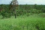 L040.JPG