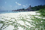 S007.JPG