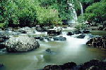 W002.JPG