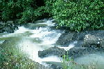 W003.JPG