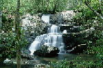 W013.JPG