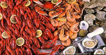 picture of seafood