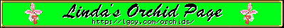 The Orchid Lady's banner