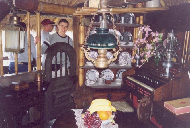 Me, pictured with the famous Swiss Family Treehouse Organ