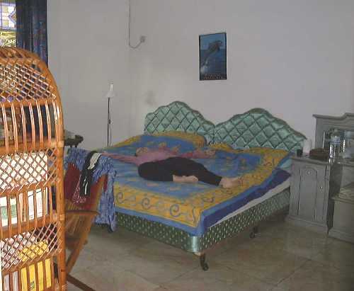 bed