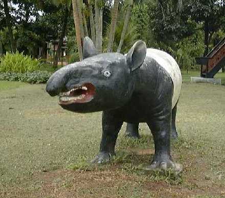 tapir1