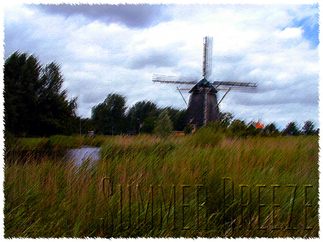 Windmill