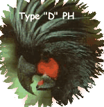 Parrot Head type D
