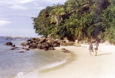gamboa7.jpg (28326 bytes)