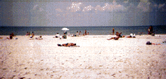 A great day at Ben T. Davis beach on the Causeway.