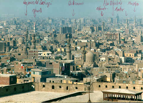 view form citadel
