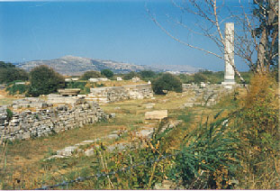 Temple of Hera near Ireon
