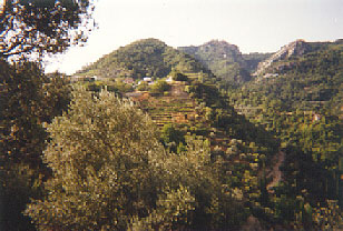 Manolates