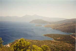 Mourtia