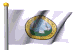 Chippewa Flag