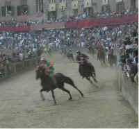 City of Siena Website