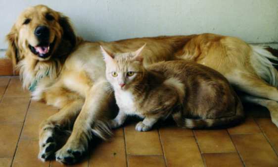 Sandy and Prince on the front porch
