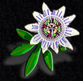 ClipArt by Corel Corp.
