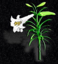 ClipArt by Corel Corp.